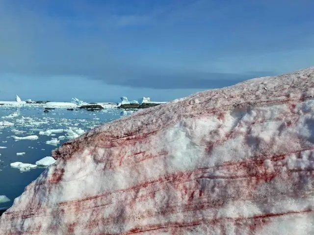 Зима способствует успеху размножения