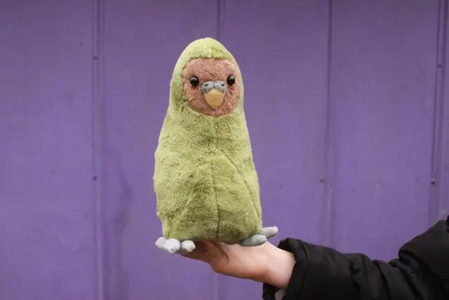 Для этого новозеландского попугая смех заразителен