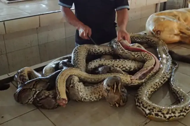 Животноводство может вырвать охраняемую дикую природу из первоклассной недвижимости