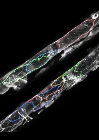 Новая модель капиллярного подъема в наноканалах дает представление об улучшении гидроразрыва пласта (ГРП)