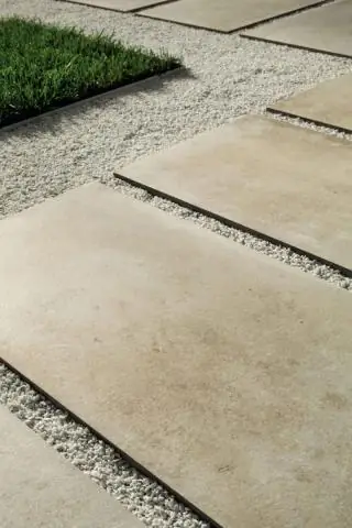 Насколько надежны традиционные исследования дикой природы?