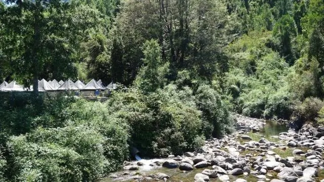 Лосось с побочными эффектами: аквакультуры загрязняют реки Чили смесью растворенных органических веществ