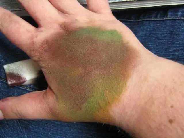 Минитаблетки помогают лечить привередливых кошек