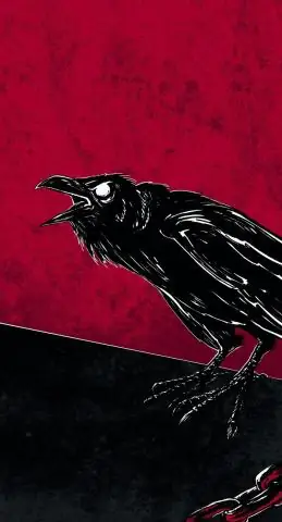 Вороны: не размножающиеся живут в очень динамичных социальных группах: социальное взаимодействие является ключом к когнитивному успеху