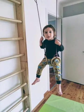 Мембранные липиды прыгают в рафты и выходят из них в мгновение ока: новые флуоресцентные липиды демонстрируют, как функционируют специализированные области клеточной мембраны