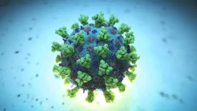 Новый вирус разрушает барьеры между несовместимыми грибами: спаривание несовместимых штаммов позволяет передавать неродственные вирусы между грибами