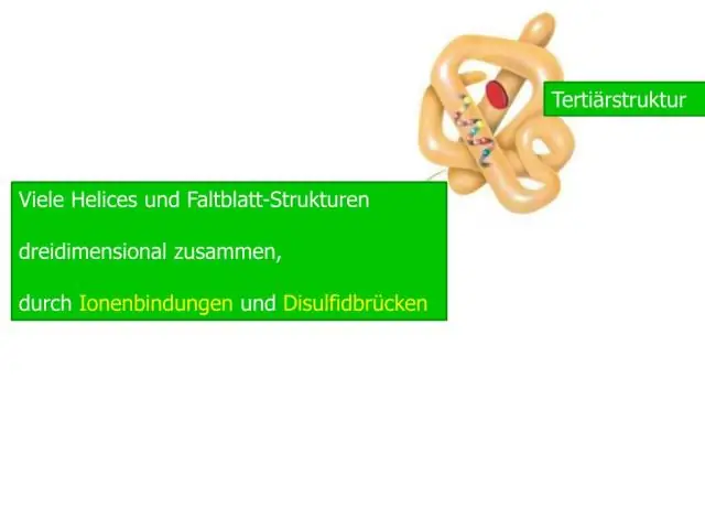 Гидрофобные белки на поверхности вируса могут помочь в очистке вакцин
