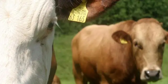 Утрата биоразнообразия меняет фенологию цветения на ту же величину, что и глобальное потепление