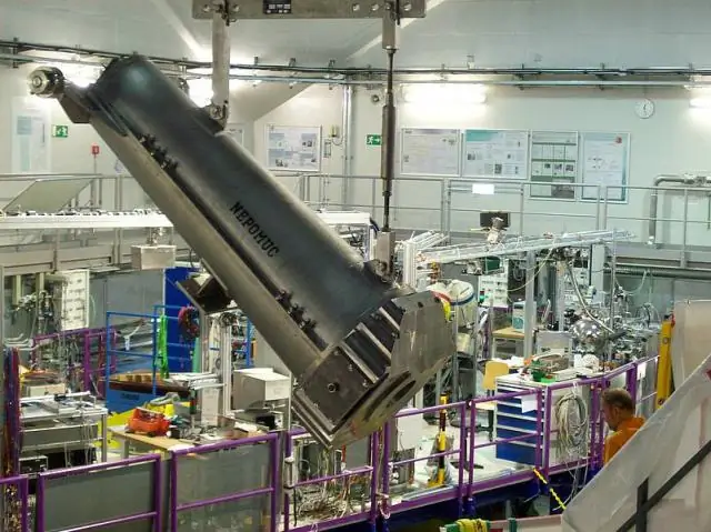 Ученые сделали новое открытие об эволюции птиц