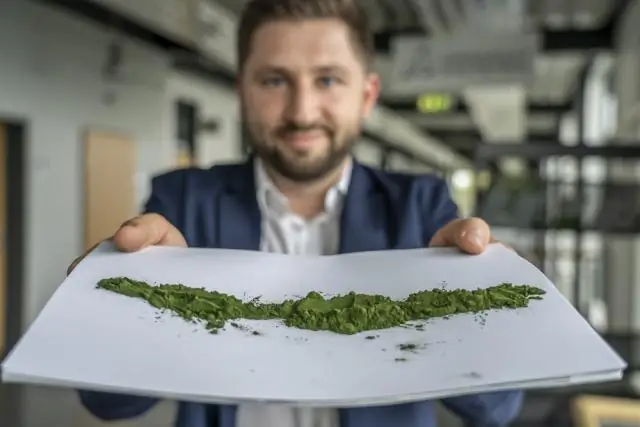 Производство водорода: так зеленые водоросли собирают свои ферменты