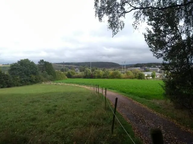 Местная охлаждающая способность лесов подтверждает необходимость большей охраны и защиты лесов