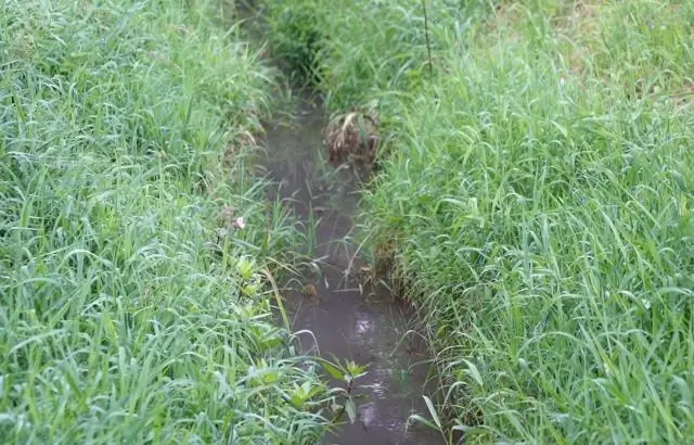 Белок вируса Зика ускорит поиск лекарства