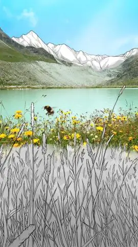 Спутники показывают потерю среды обитания птиц в Калифорнии: водно-болотные угодья в долине Сакраменто резко сократились