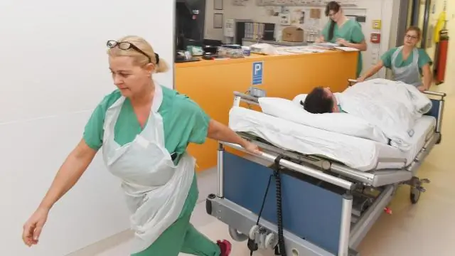 Новое исследование опровергает распространенное предположение о черепных суставах аллигаторов, птиц и динозавров