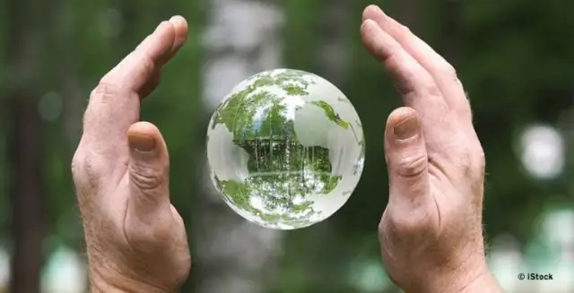 Леса борются с глобальным потеплением более важными способами, чем предполагалось ранее: исследование показало, что роль деревьев не ограничивается потреблением углерода