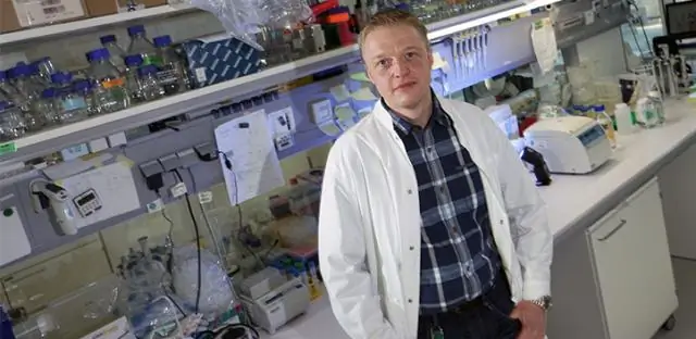 Молекулярный выключатель для CRISPR