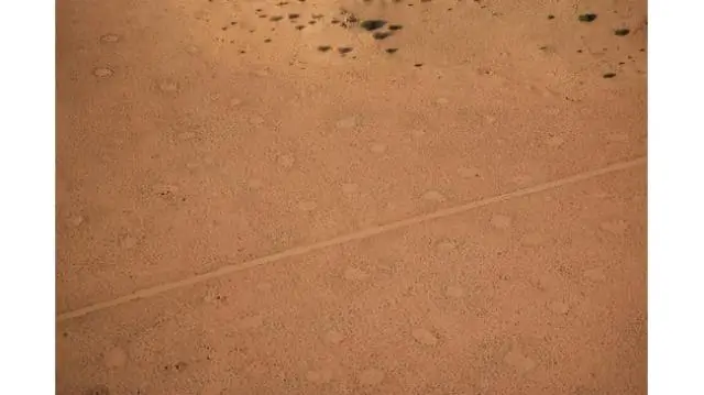 Волшебные круги Намибии: новое исследование помогает ученым понять