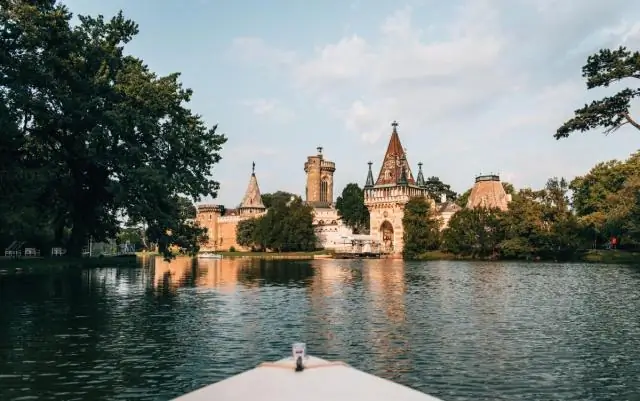 Крошечная бактерия открывает окно в целые экосистемы: вездесущий морской организм эволюционировал совместно с другими микробами, создавая более сложные экосистемы