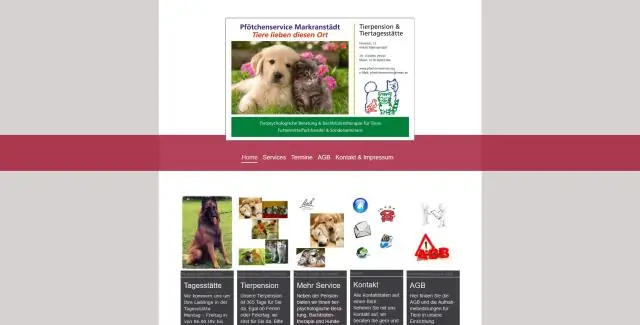 Петухи лучше относятся к своим сородичам, чем к другим самцам