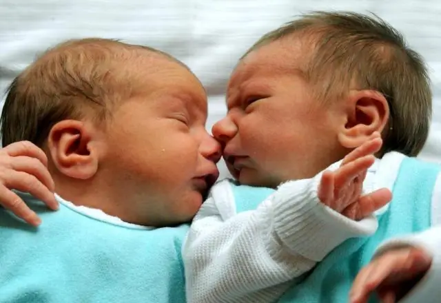 Уникальные архитектуры генома после оплодотворения у одноклеточных эмбрионов