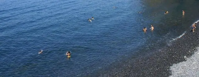 Предпочтения детей в дикой природе различаются от острова к материку