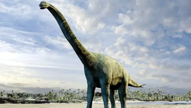 Открытие новых видов хищных динозавров дает новый взгляд на их эволюцию