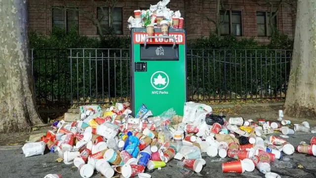 Новые виды динозавров проливают свет на эволюцию и позволяют изменить лицо тираннозавров