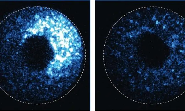 Что происходит в живой клетке? «Окрашивание молекулярной активности» для контроля и мониторинга переключаемых, управляемых светом возмущений внутри клеток