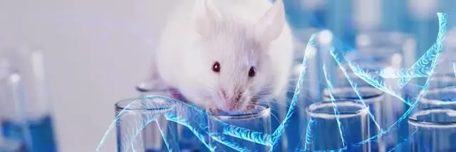 Исследования изменили научное понимание путей передачи грибковых вирусов, выявив, что они неверны своему хозяину