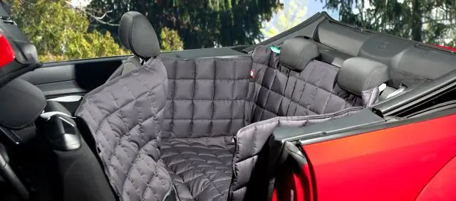 Инфекции филяриатозными нематодами: симбиотическая связь между бактериями и филяриатозными нематодами