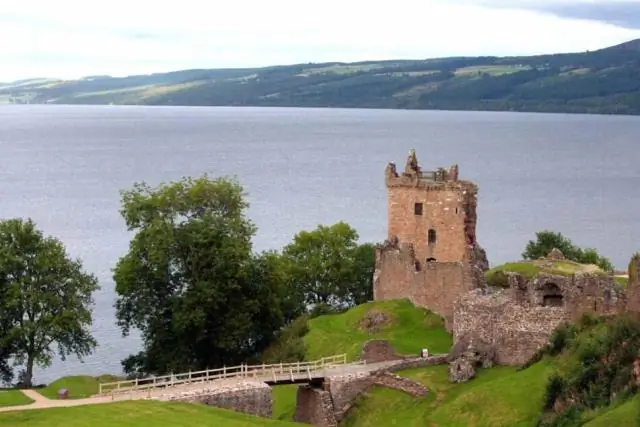 Ученые взялись за изучение наземных улиток, лазающих по деревьям