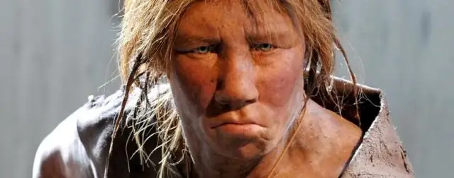 Независимые эволюционные истоки сложной социальности в морской жизни