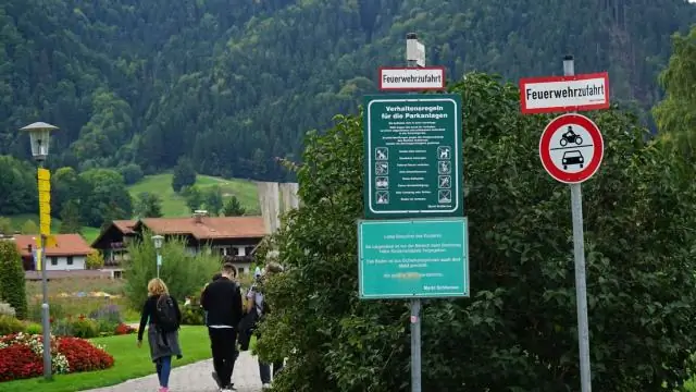 «Бионический лист» может помочь накормить мир