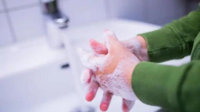 Образ жизни мутантов: исследователи обнаружили мощный генетический элемент в мельчайших формах жизни на Земле: открытие расширяет древо жизни