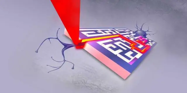 Исследователи разрабатывают новый способ изучения ключевых биологических процессов