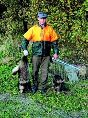 Енотовидная собака представляет более высокий риск, чем енот, как переносчик местных паразитов