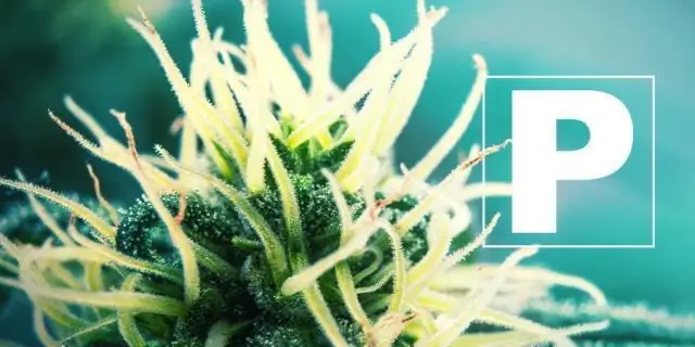 Азот, фосфор из удобрений и отходов домашних животных, загрязняющих городскую воду