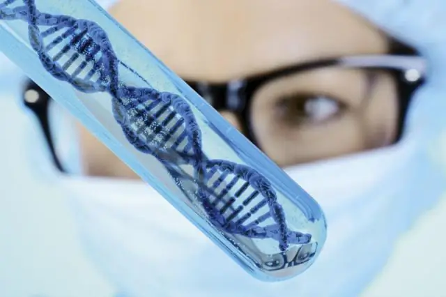 В ДНК хищника коралловых рифов