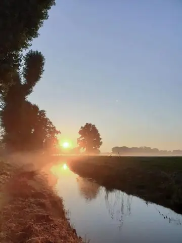 Растения помогают компенсировать изменение климата, но теперь дело за нами: результаты подтверждают оценки, использованные в моделях Межправительственной группы экспертов по изменению климата