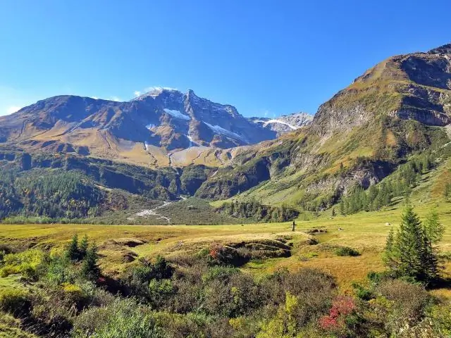 Разгадка тайны снежинок, от Альп до Антарктиды