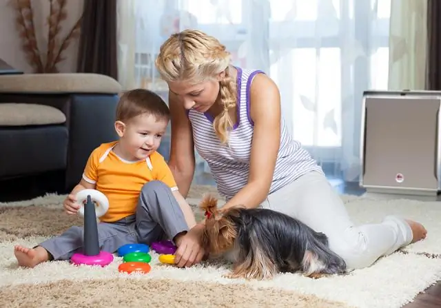 Воздействие с домашними животными может уменьшить аллергию и ожирение: исследования показывают, что наличие собаки в раннем возрасте может изменить кишечные бактерии, повышая иммунитет