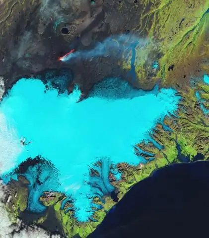 Спутники наносят на карту поглощенный лесами углерод с точностью до десяти метров