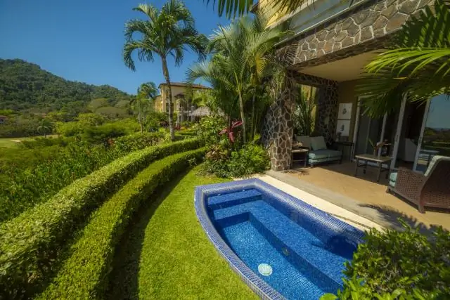 Тропические низинные лягушки подвергаются большему риску из-за потепления климата, чем высокогорные виды, показывают исследования