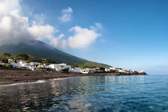 У тупиков, которые остаются рядом со своим партнером во время миграции, больше птенцов: Зимний поиск пищи самками также имеет решающее значение для успешного размножения пар тупиков