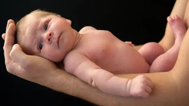 Чувствуя риск заражения: влияние паразитизма на эволюцию социального поведения