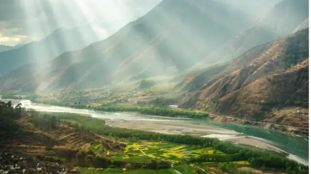 Вирусные окаменелости показывают, как наши предки могли уничтожить древнюю инфекцию