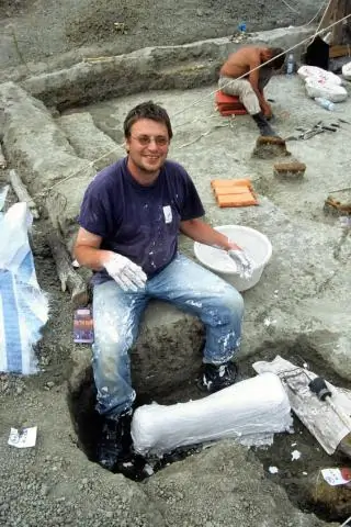 Охота за яйцами: ученые обнаружили яйца одной из самых исчезающих черепах в мире