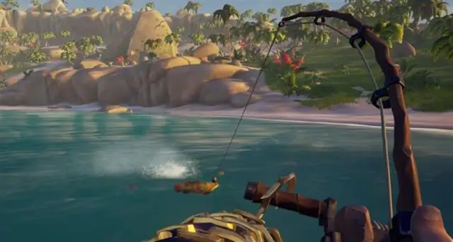 Дальнородственные рыбы нашли такое же эволюционное решение проблемы темной воды