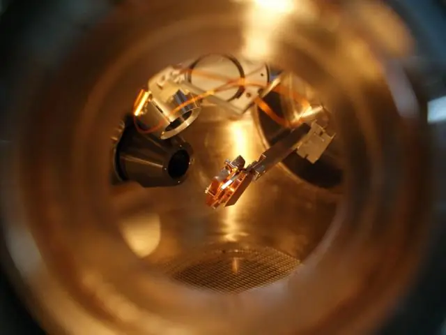 Грибы могут дать ключ к разгадке воздействия углекислого газа на газоны, считают исследователи