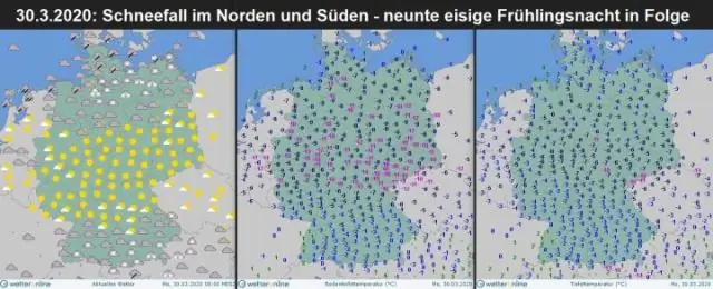 Наблюдайте за лактатом, чтобы предсказать прогноз заболеваемости кошек